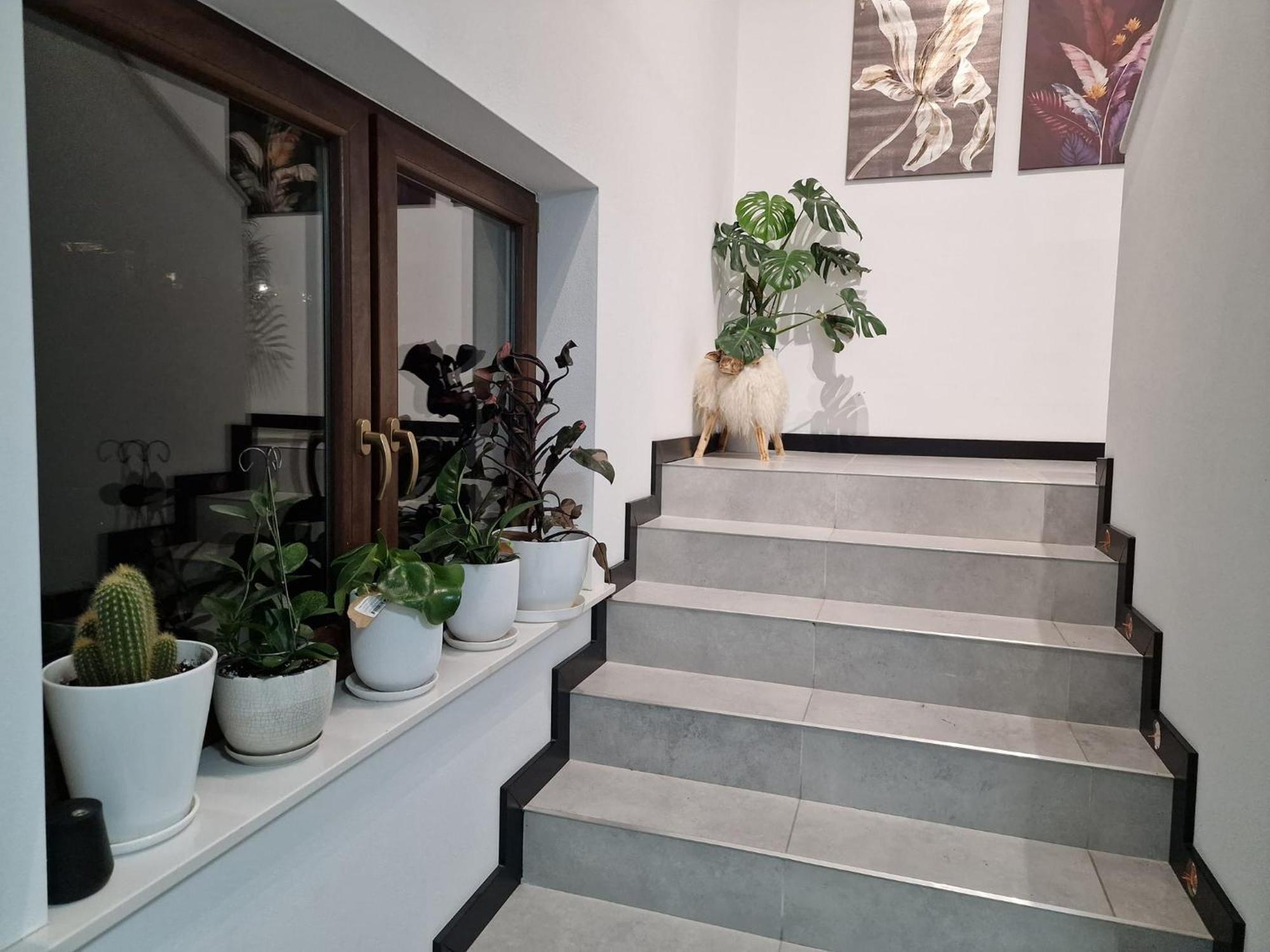Male Ciche 36J Przy Ostrewkach, Widok Na Gory, Blisko Do Wyciagu Narciarskiego, Idealne Miejsce Na Wypad W Gory -Tarasowka-Zgorzelisko-Rusinowa Polana-Gesia Szyja-Palenica-Wiktorowki-Morskie Oko ムジャシフレ エクステリア 写真